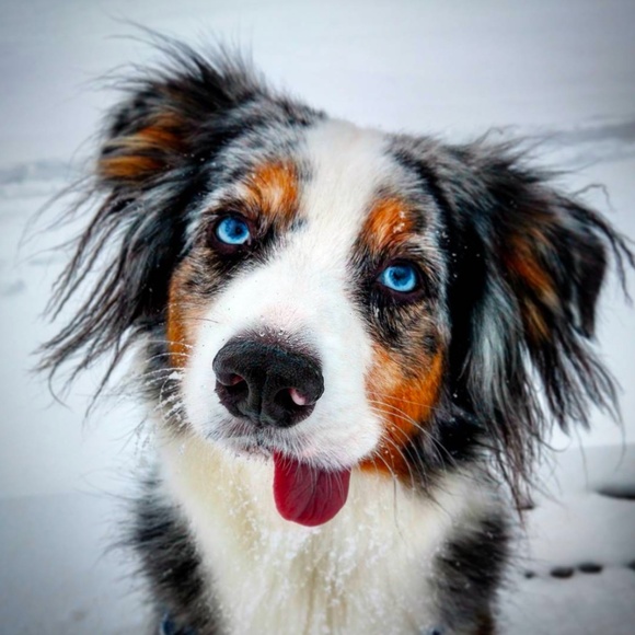 Meet your Posher, Drew - Picture 1 of 1